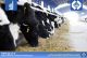 رکورد شکنی تولید روزانه شیر خام در شرکت کشت و صنعت و دامپروری ارس دام آرشام ماکو